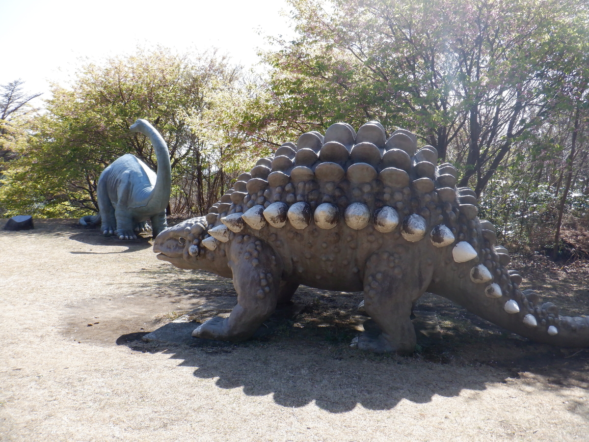 f:id:TakeNaoNeOk:20210301123549j:plain