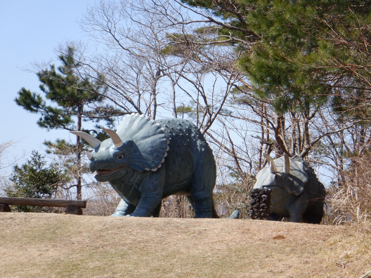 f:id:TakeNaoNeOk:20210301123614j:plain