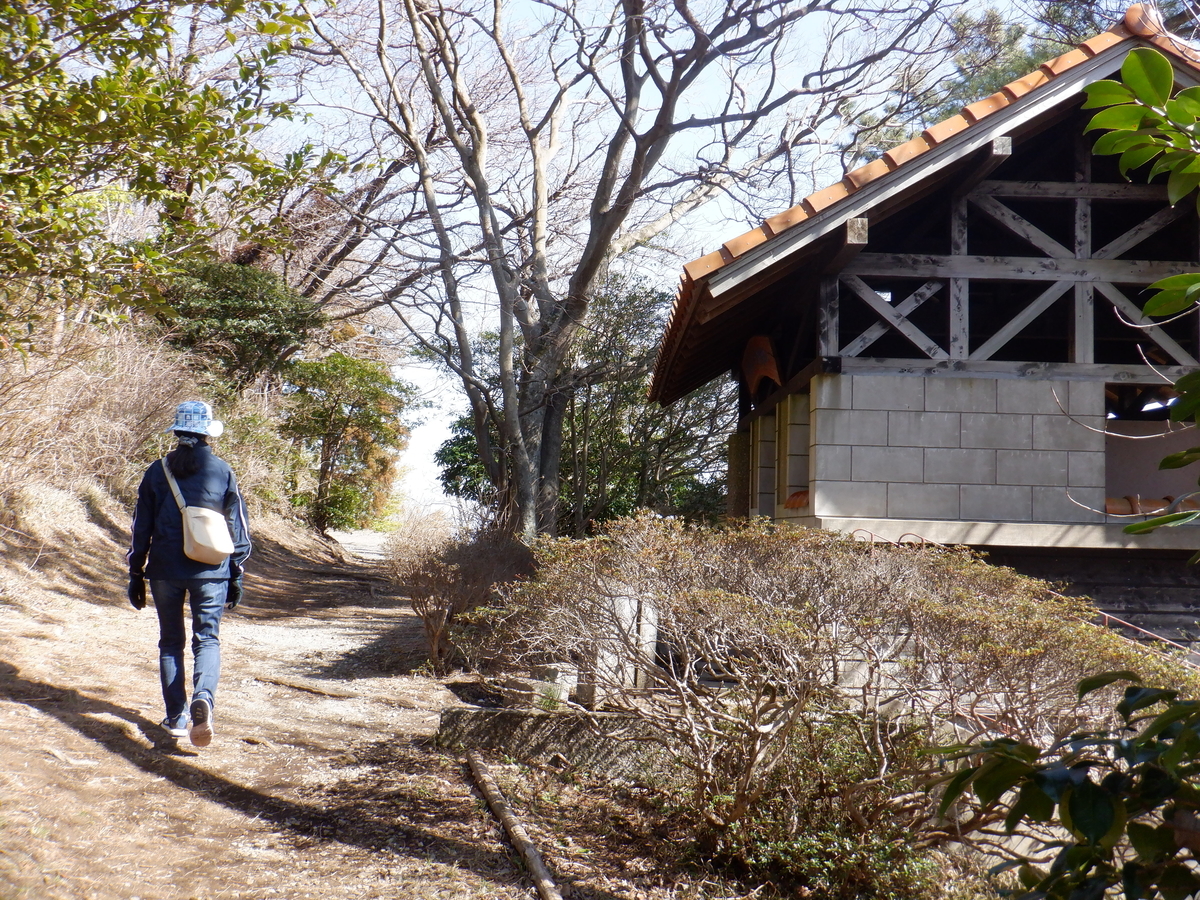 f:id:TakeNaoNeOk:20210301123809j:plain