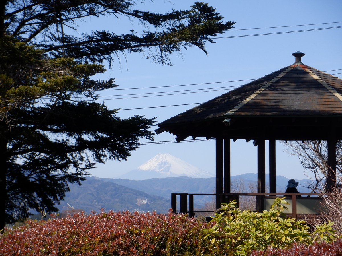 f:id:TakeNaoNeOk:20210301124302j:plain