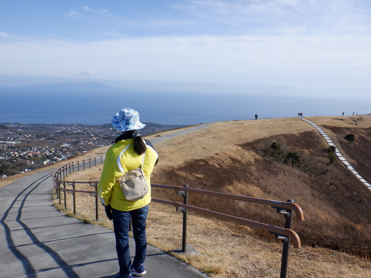 f:id:TakeNaoNeOk:20210301124842j:plain