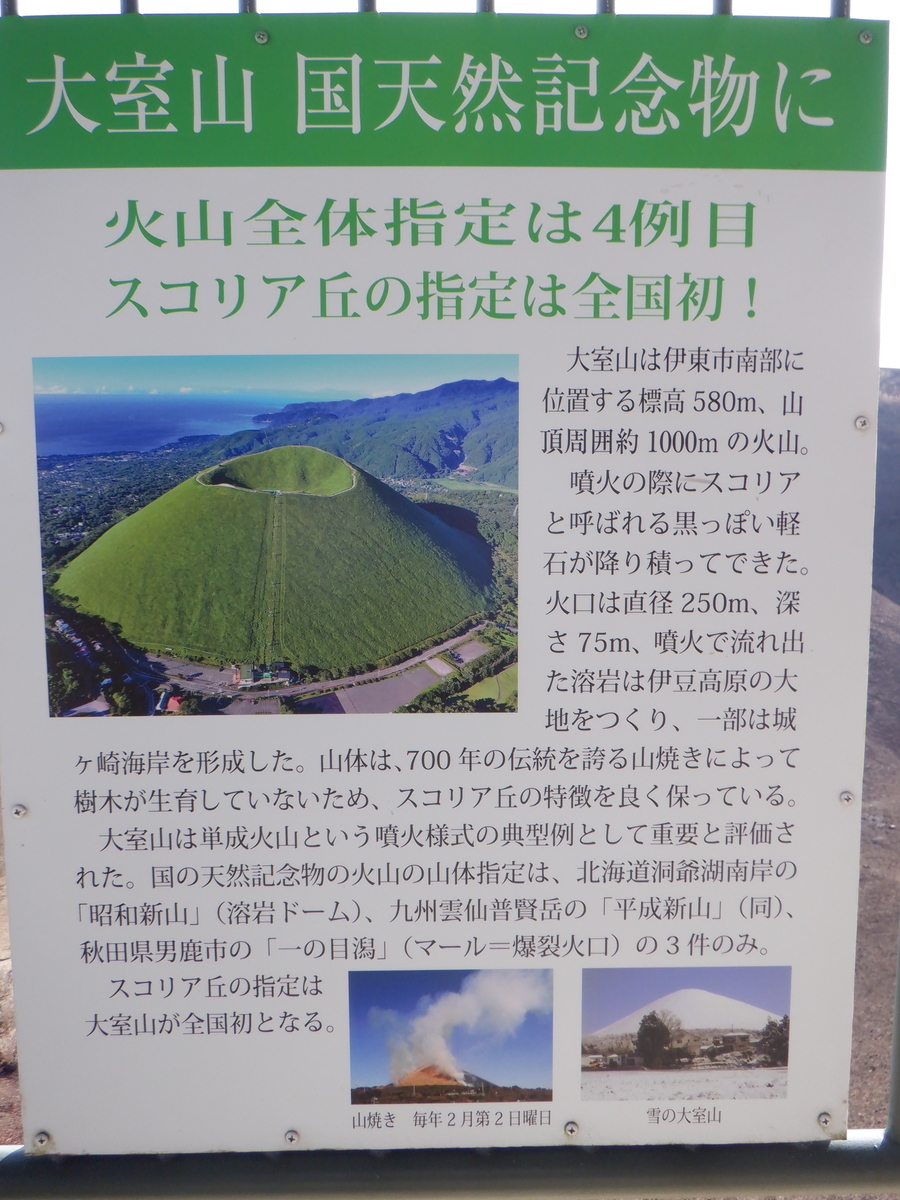 f:id:TakeNaoNeOk:20210301130112j:plain