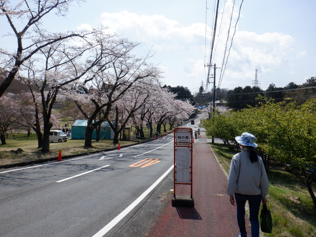 f:id:TakeNaoNeOk:20210326180821j:plain