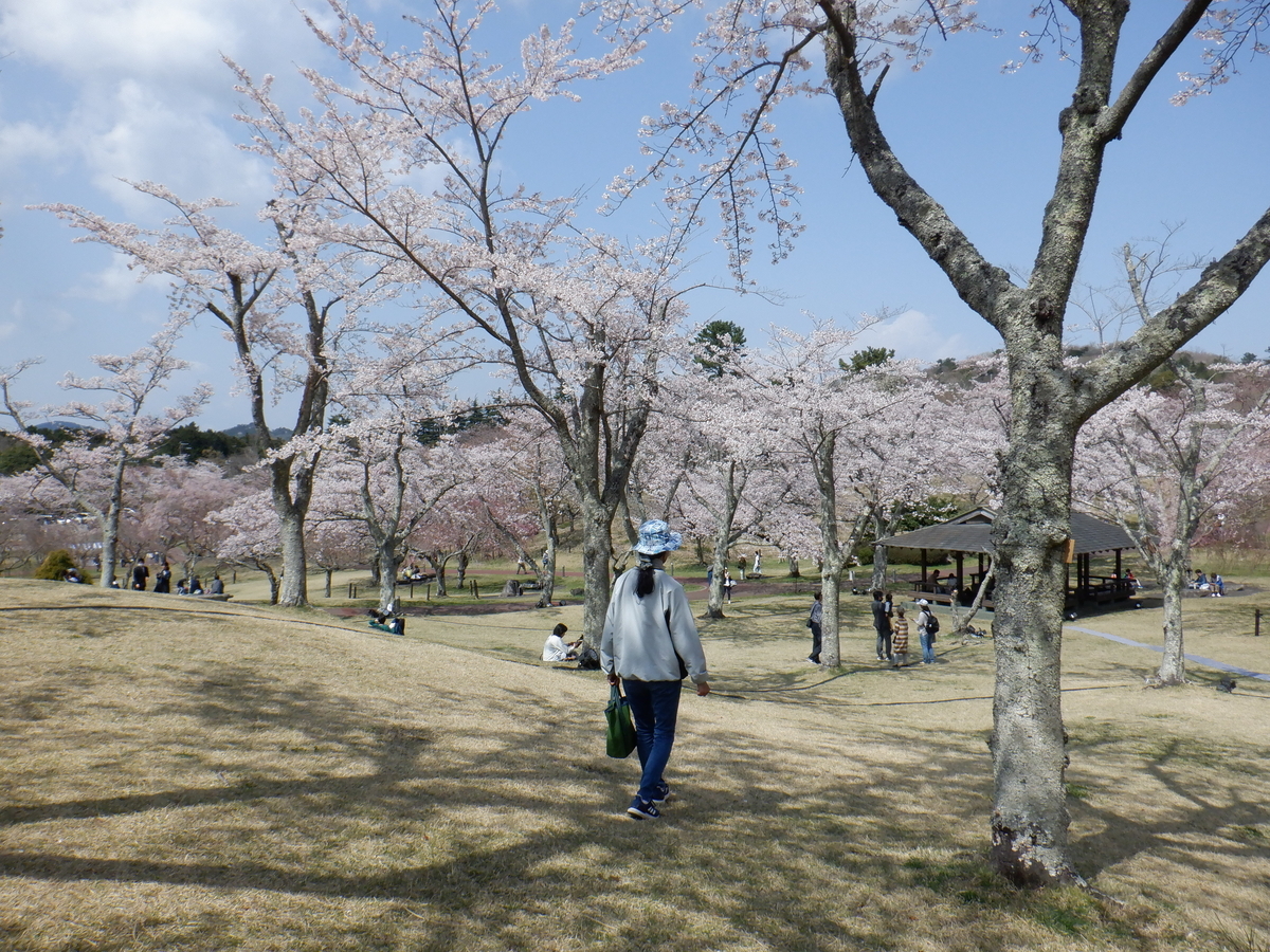 f:id:TakeNaoNeOk:20210326181329j:plain