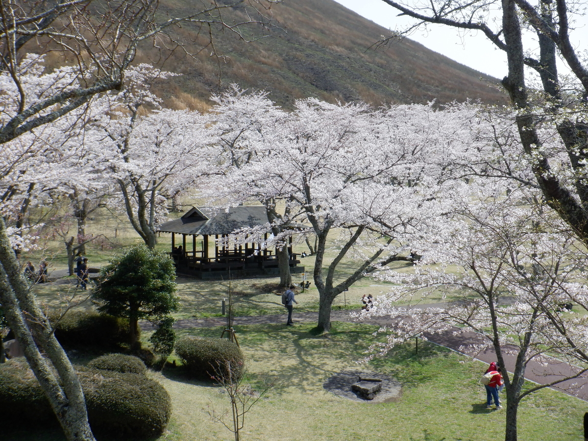 f:id:TakeNaoNeOk:20210326181427j:plain