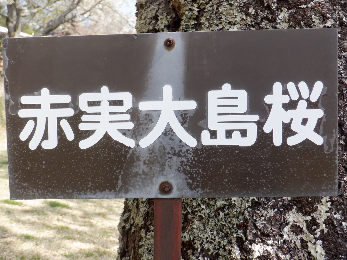 f:id:TakeNaoNeOk:20210326181914j:plain