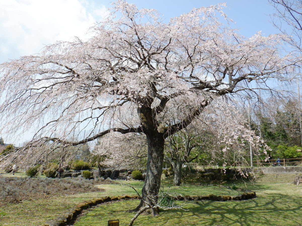 f:id:TakeNaoNeOk:20210326182131j:plain