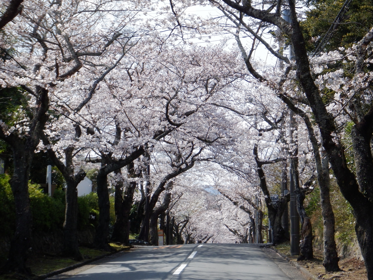 f:id:TakeNaoNeOk:20210326182549j:plain