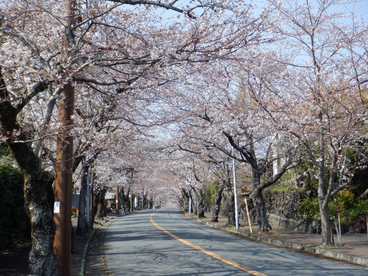 f:id:TakeNaoNeOk:20210326182947j:plain