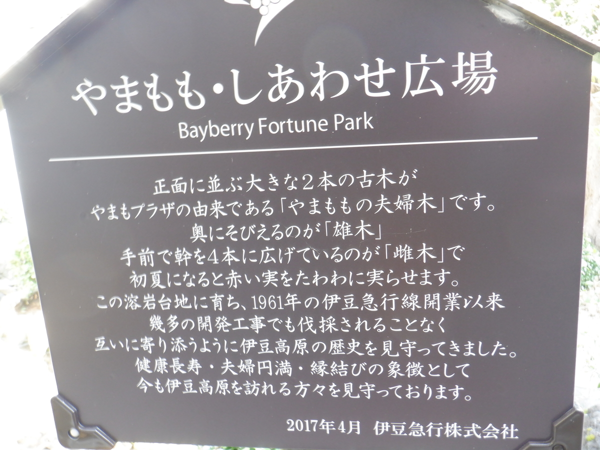 f:id:TakeNaoNeOk:20210326183728j:plain