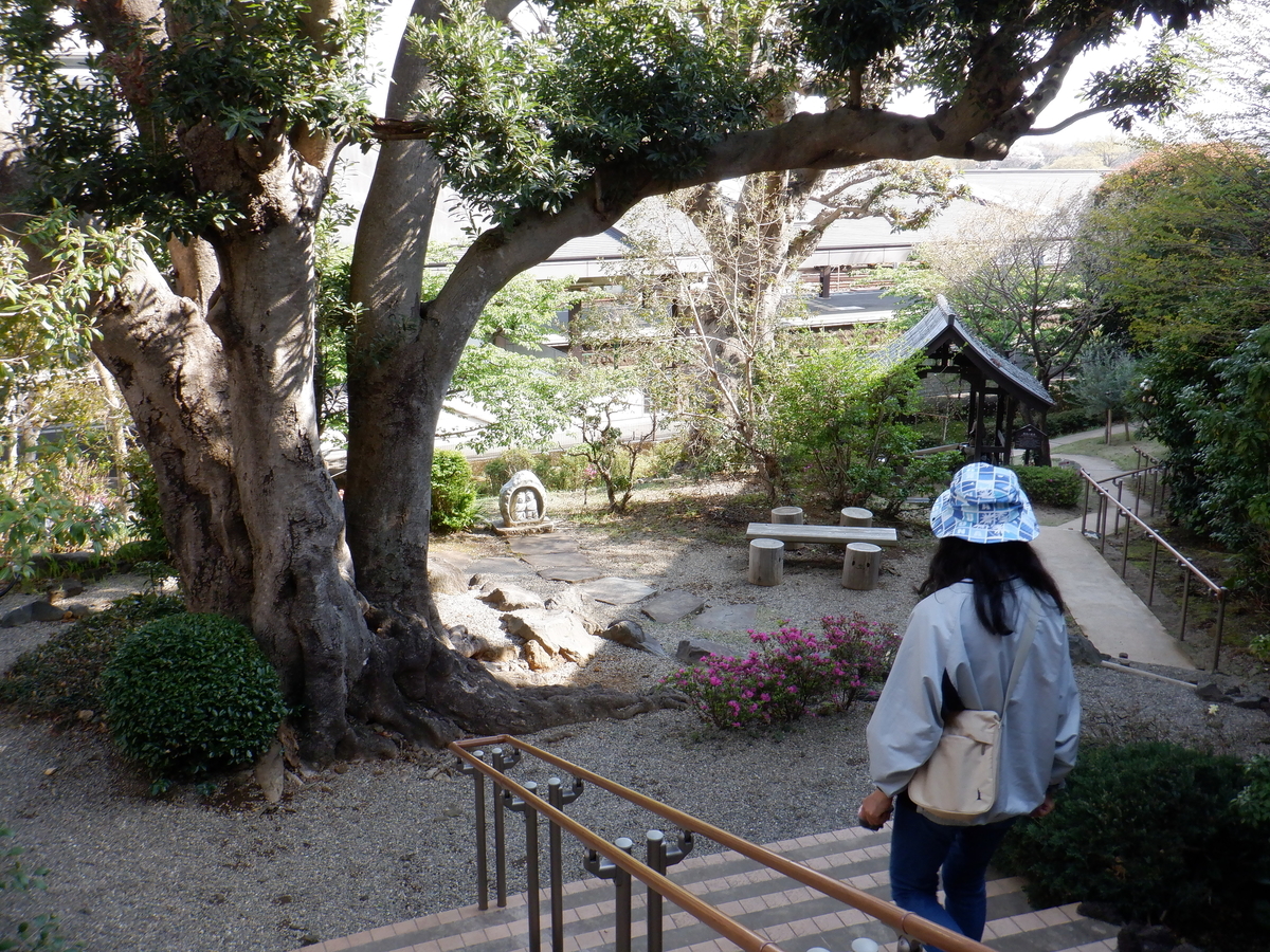 f:id:TakeNaoNeOk:20210326183757j:plain