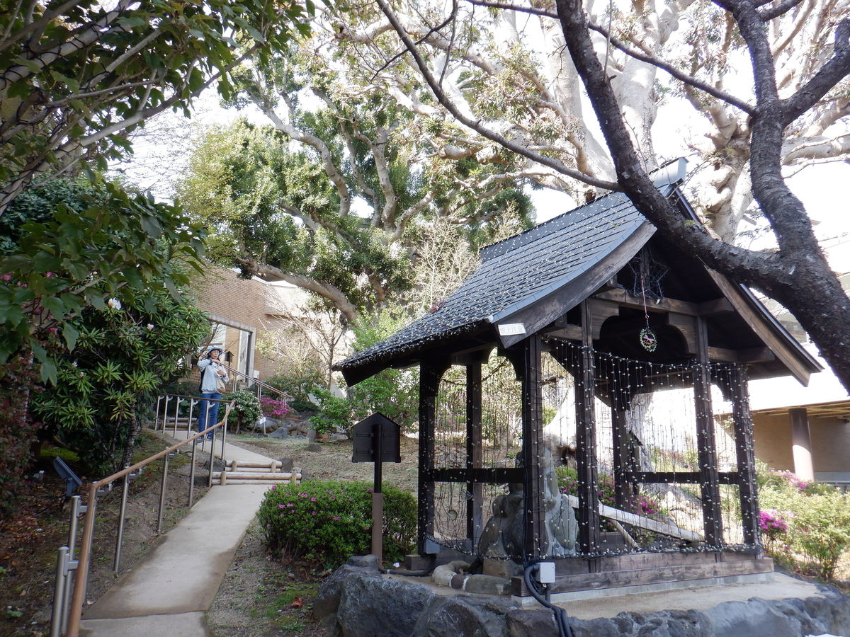 f:id:TakeNaoNeOk:20210326183919j:plain