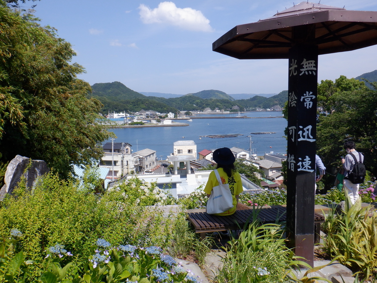 f:id:TakeNaoNeOk:20210603173452j:plain