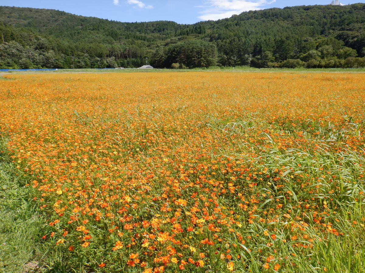 f:id:TakeNaoNeOk:20210810182511j:plain