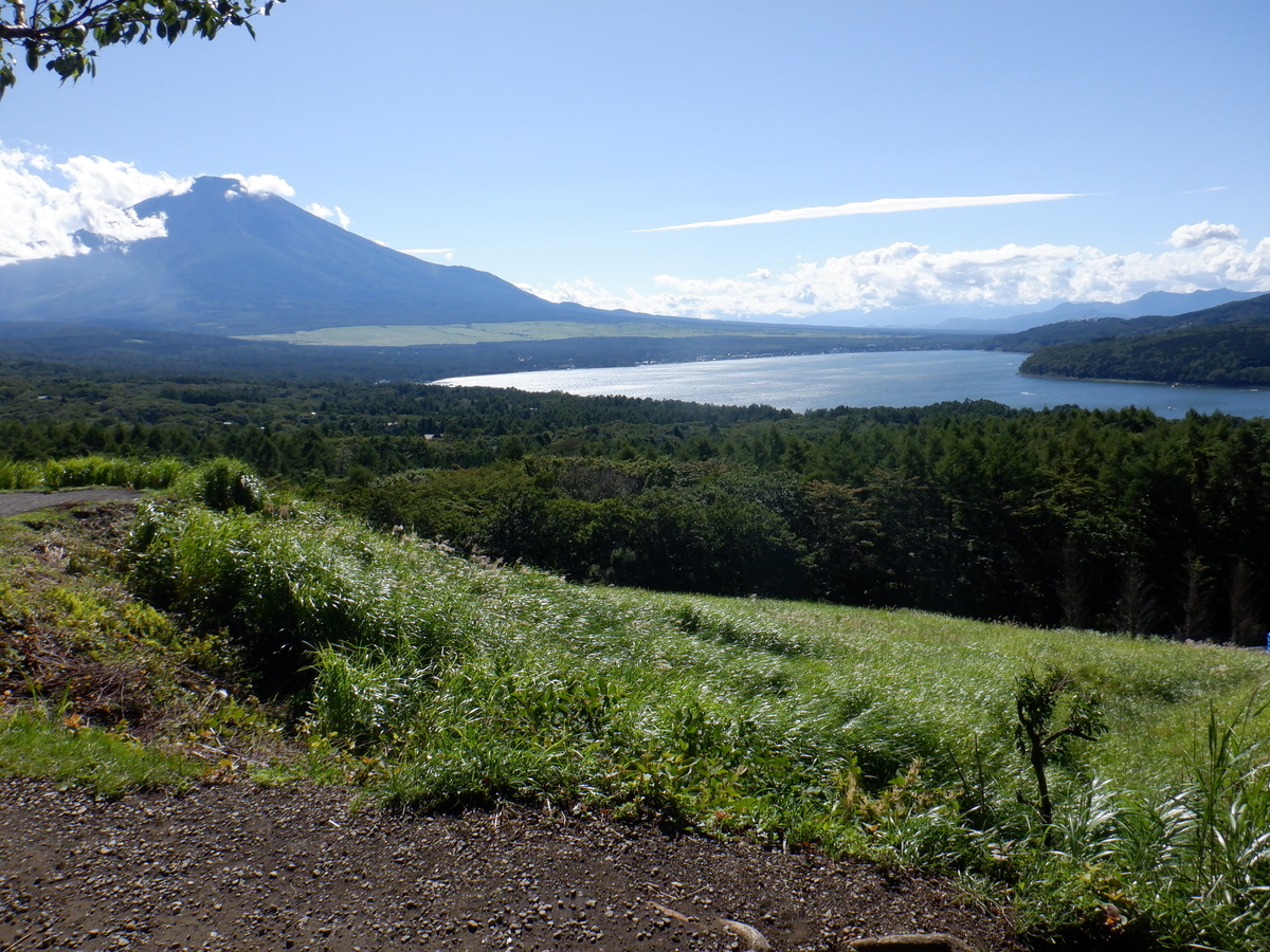 f:id:TakeNaoNeOk:20210810183626j:plain