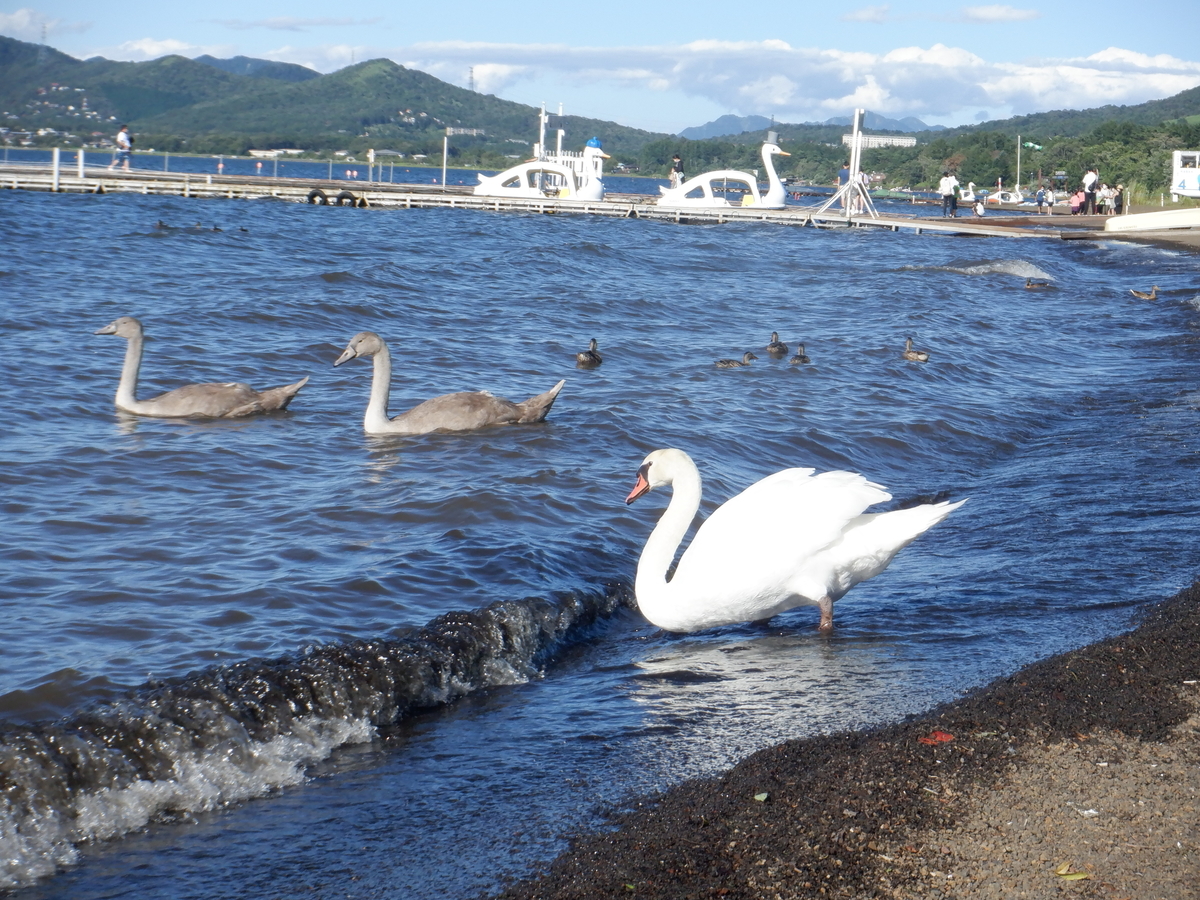 f:id:TakeNaoNeOk:20210810184104j:plain