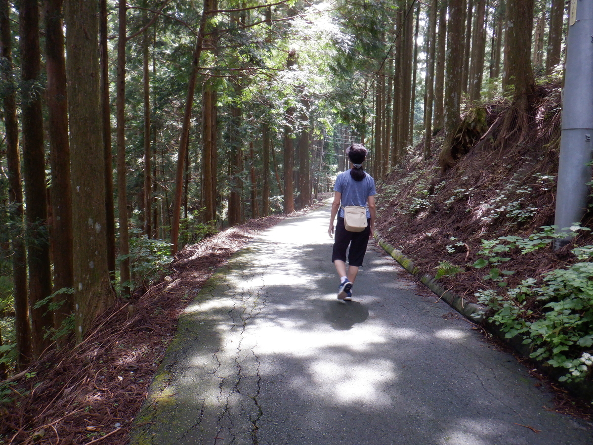 f:id:TakeNaoNeOk:20210917141549j:plain