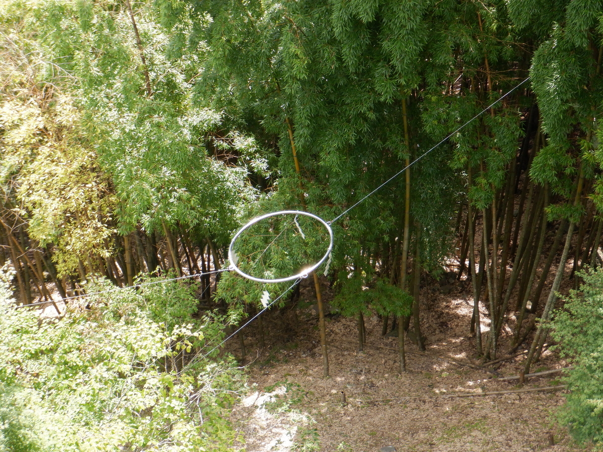 f:id:TakeNaoNeOk:20210917143026j:plain