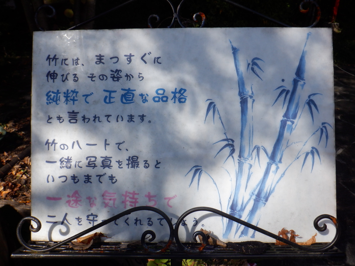 f:id:TakeNaoNeOk:20211025105213j:plain