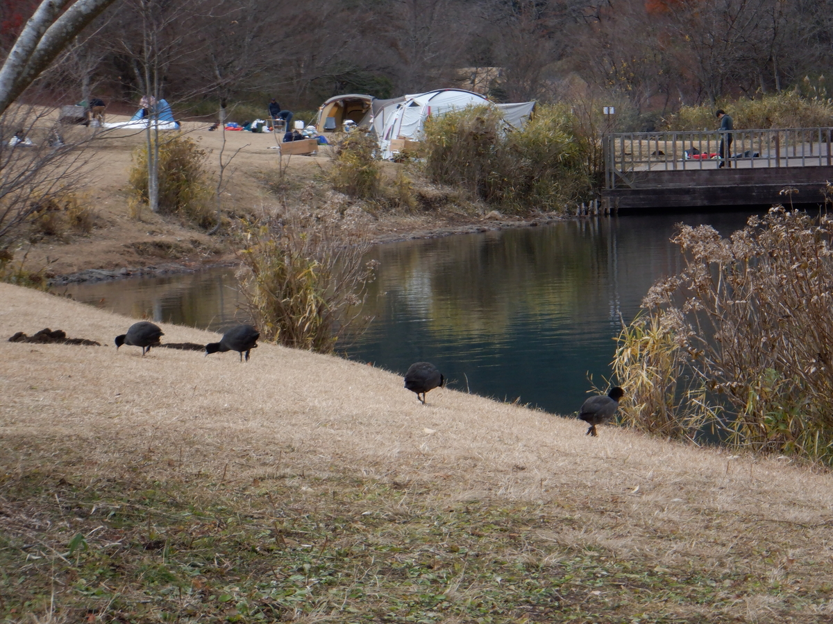 f:id:TakeNaoNeOk:20211206132911j:plain