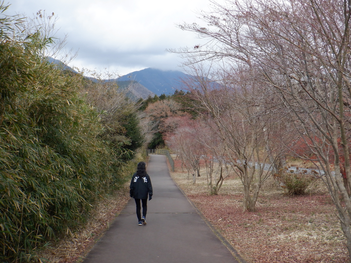 f:id:TakeNaoNeOk:20211206133123j:plain