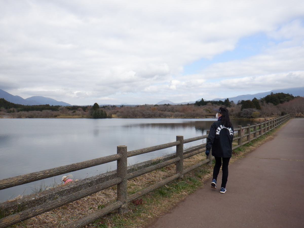 f:id:TakeNaoNeOk:20211206133613j:plain