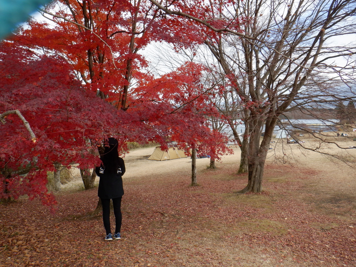 f:id:TakeNaoNeOk:20211206133712j:plain