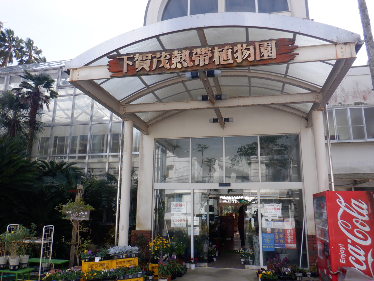 f:id:TakeNaoNeOk:20220110171503j:plain