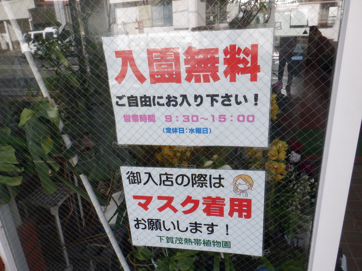 f:id:TakeNaoNeOk:20220110171548j:plain