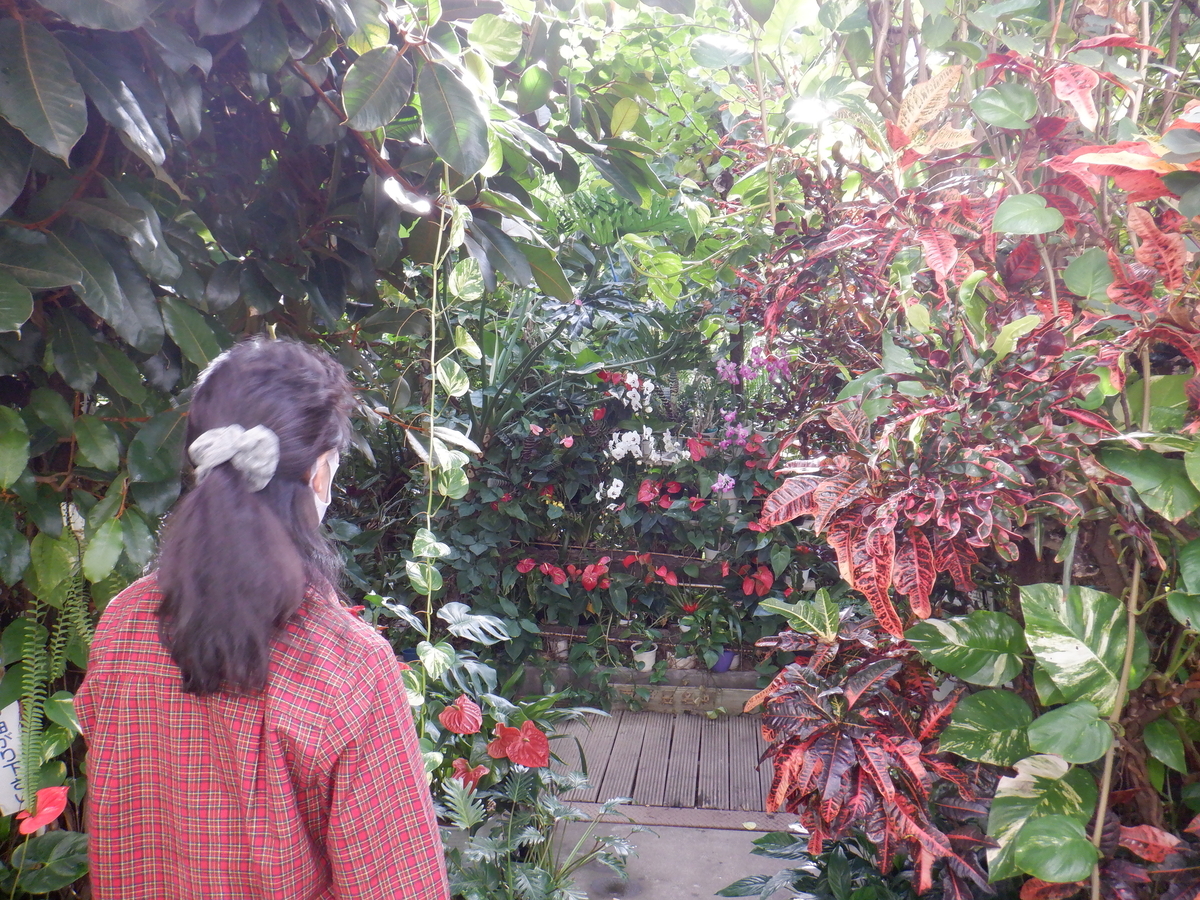 f:id:TakeNaoNeOk:20220110171640j:plain