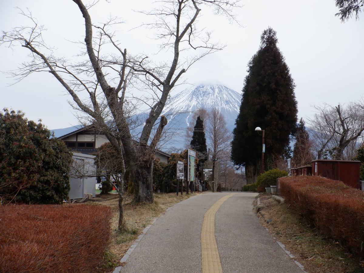 f:id:TakeNaoNeOk:20220124105656j:plain