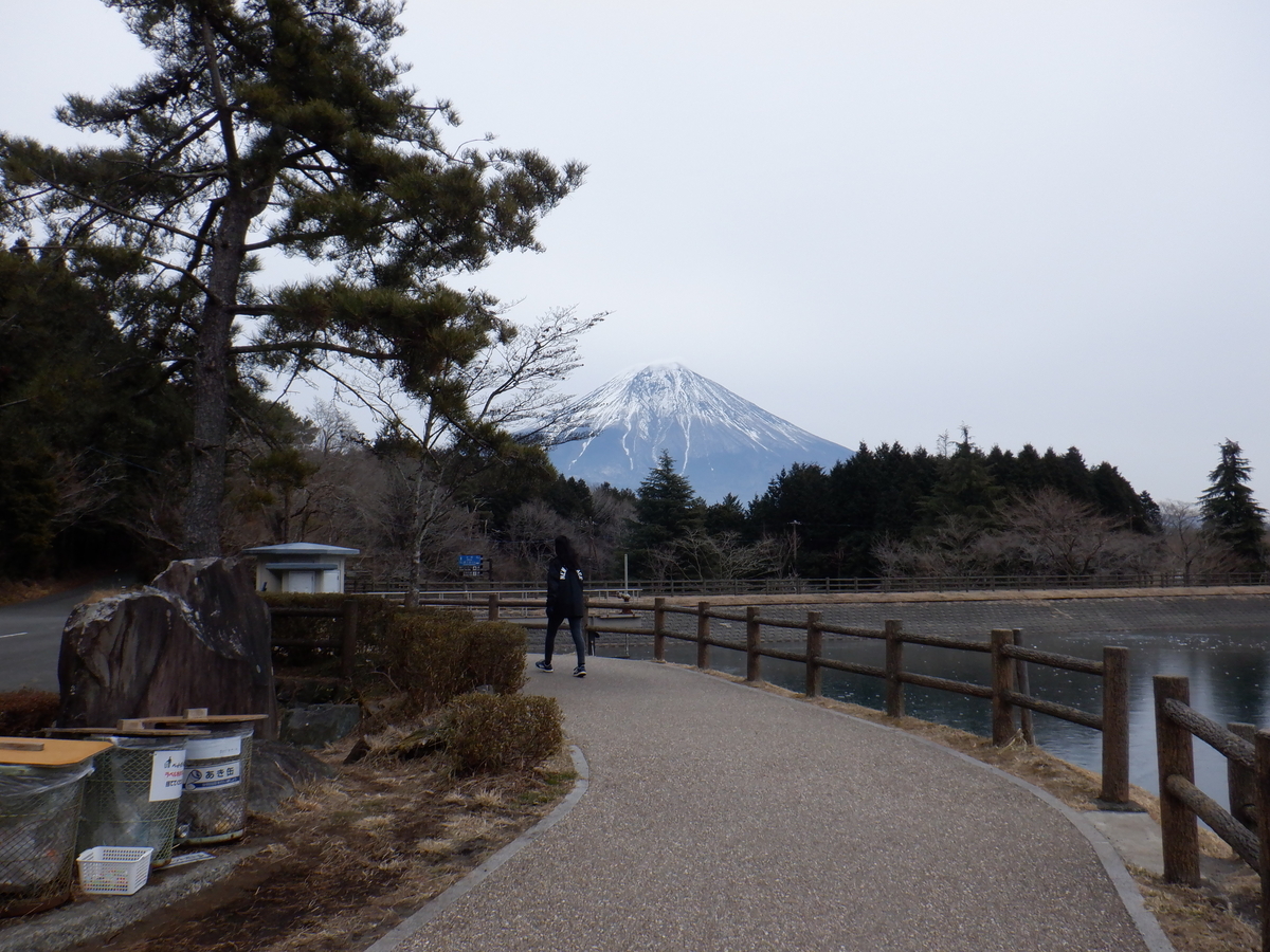 f:id:TakeNaoNeOk:20220124110626j:plain