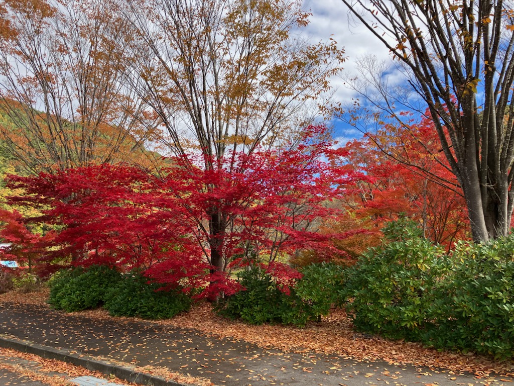 みずがき湖」～「みずがき山自然公園」まで紅葉ドライブ