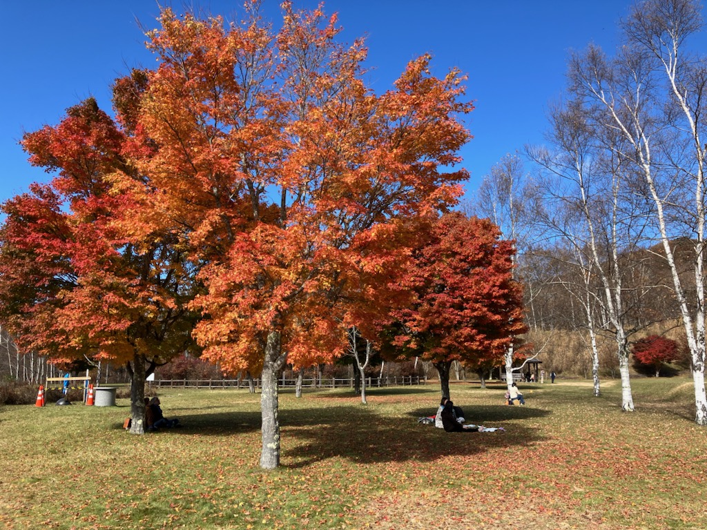 みずがき湖」～「みずがき山自然公園」まで紅葉ドライブ