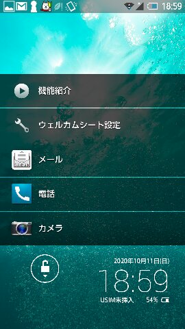f:id:Taketetu:20201011190449j:plain f:id:Taketetu:20201011190449j:plain