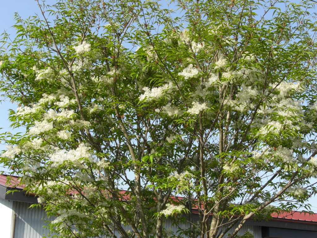 f:id:Takijun:20180507115403j:plain f:id:Takijun:20180507115403j:plain