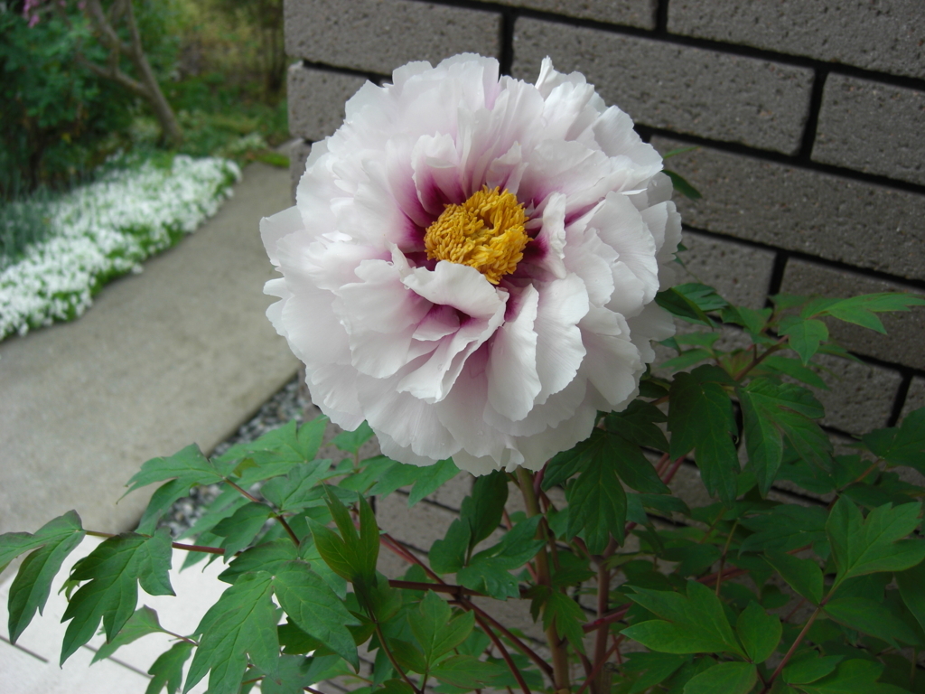 f:id:Takijun:20180507115900j:plain f:id:Takijun:20180507115900j:plain