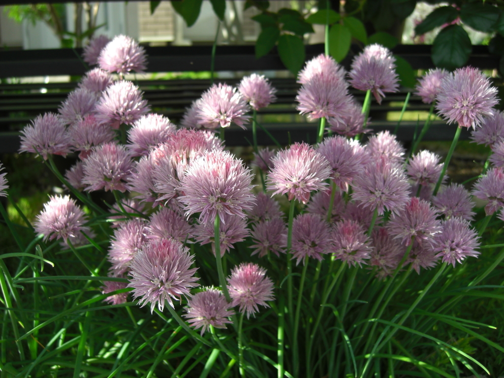 f:id:Takijun:20180507115952j:plain f:id:Takijun:20180507115952j:plain