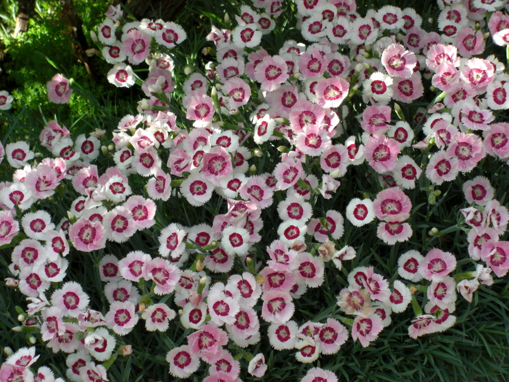 f:id:Takijun:20180507120017j:plain f:id:Takijun:20180507120017j:plain