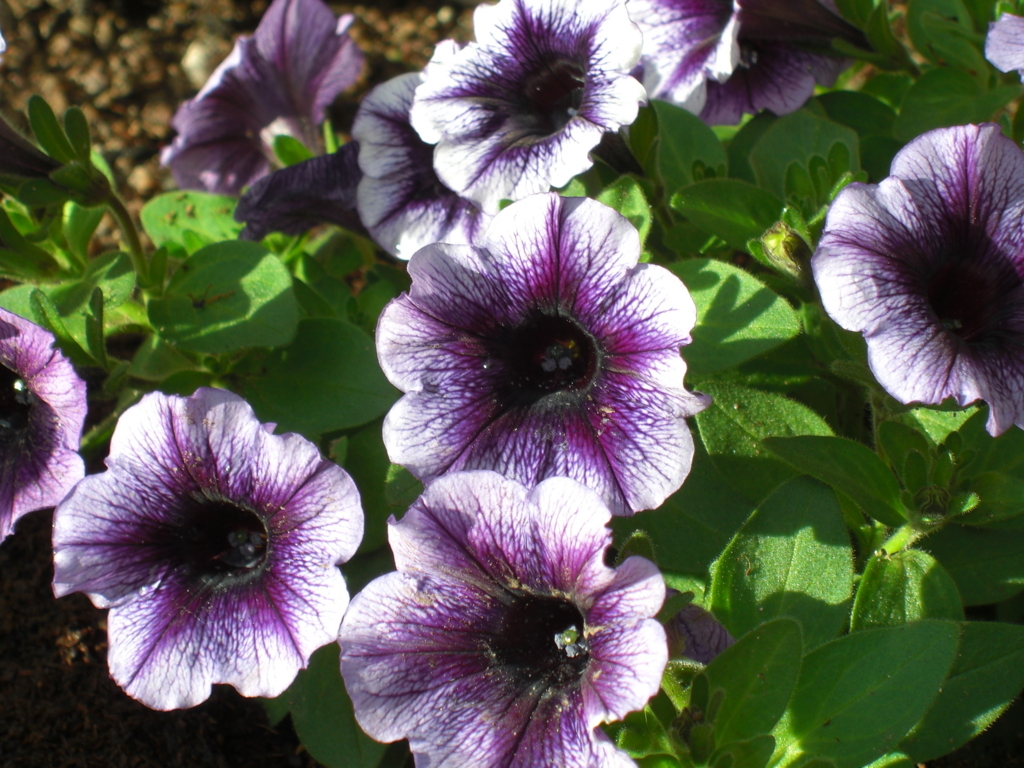 f:id:Takijun:20180507120051j:plain f:id:Takijun:20180507120051j:plain