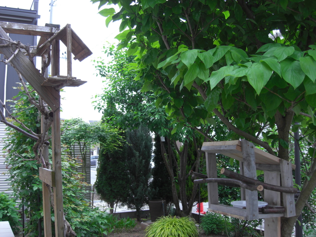 f:id:Takijun:20180516203902j:plain f:id:Takijun:20180516203902j:plain