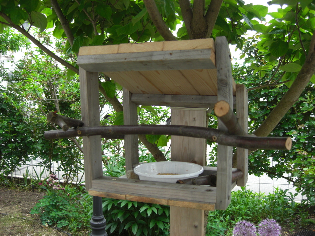 f:id:Takijun:20180516203940j:plain f:id:Takijun:20180516203940j:plain