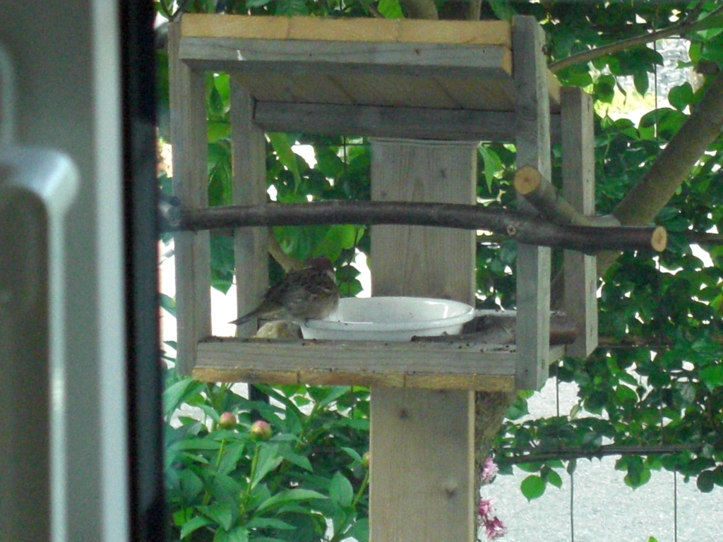 f:id:Takijun:20180516204059j:plain f:id:Takijun:20180516204059j:plain