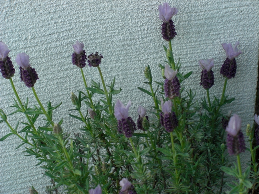 f:id:Takijun:20180616184409j:plain