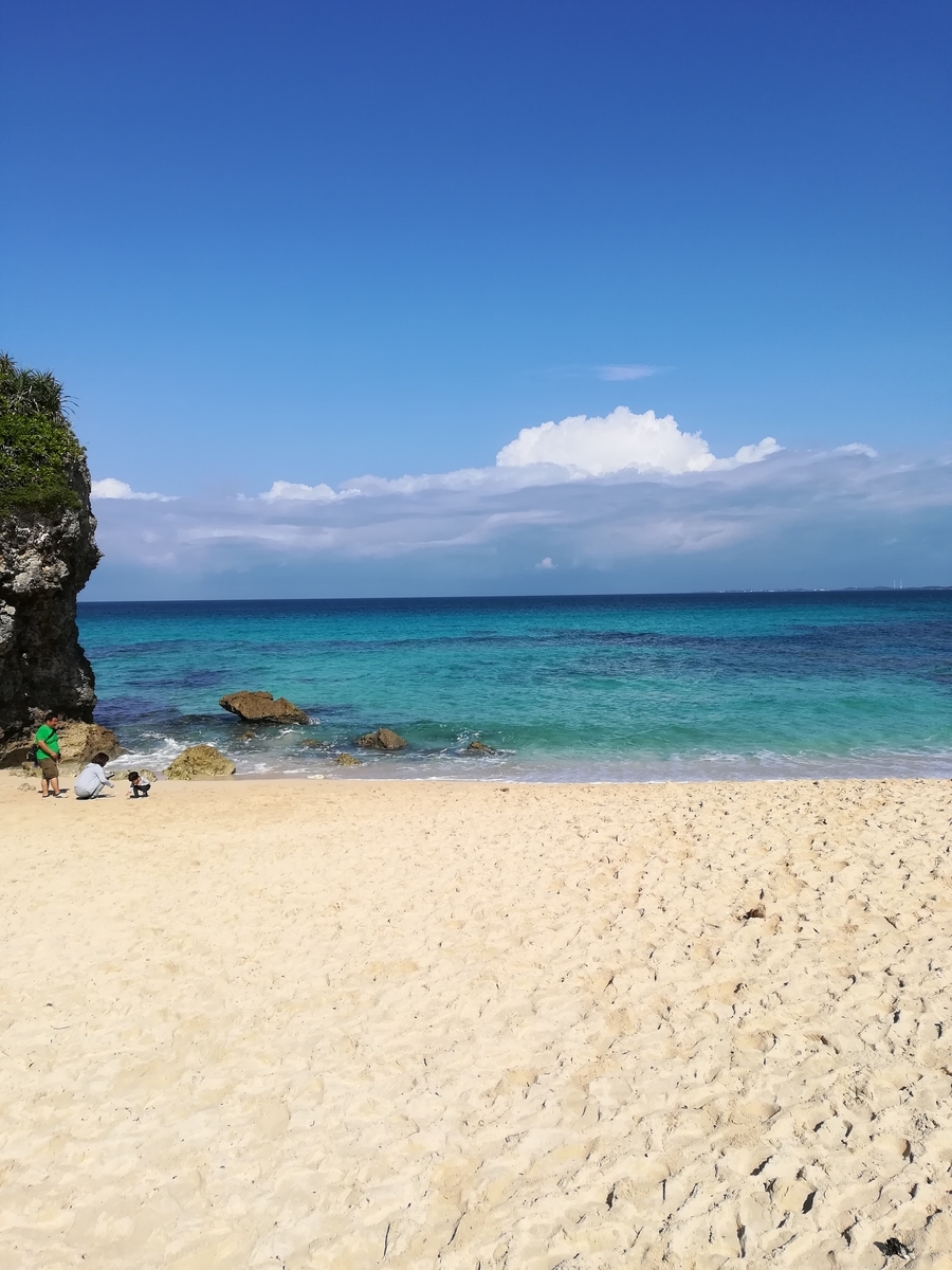 f:id:Takonosuke:20190314225317j:plain f:id:Takonosuke:20190314225317j:plain