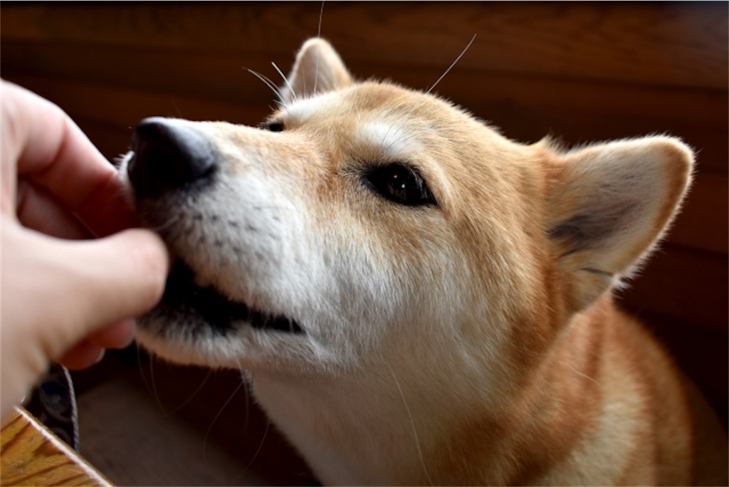 f:id:Taku39:20210507170018j:image f:id:Taku39:20210507170018j:image