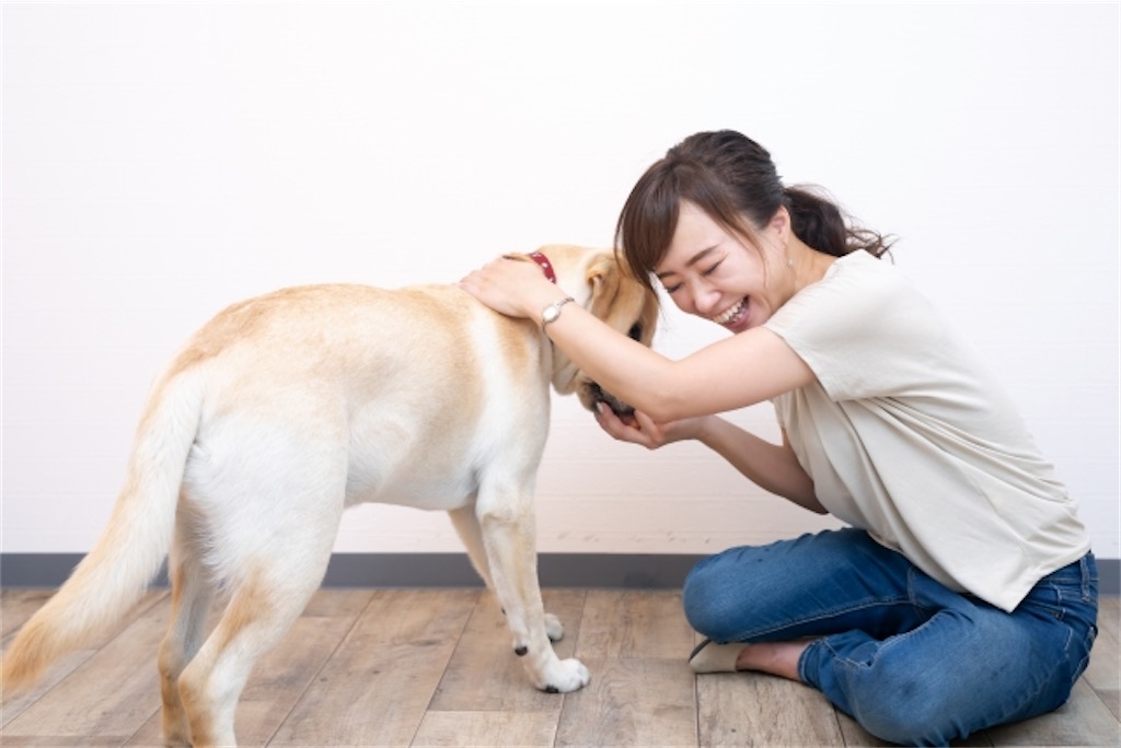 f:id:Taku39:20210511233023j:image f:id:Taku39:20210511233023j:image
