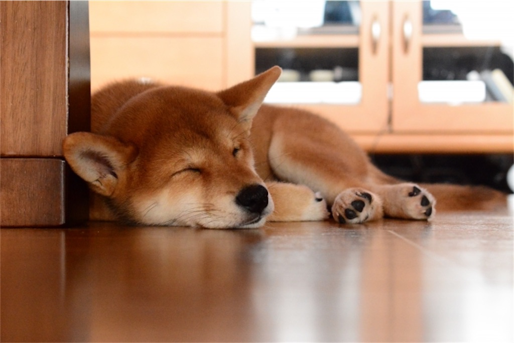 f:id:Taku39:20210523003626j:image f:id:Taku39:20210523003626j:image