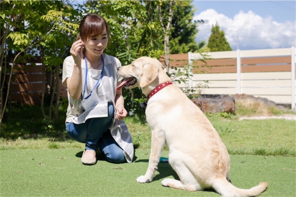f:id:Taku39:20210625230521j:image f:id:Taku39:20210625230521j:image