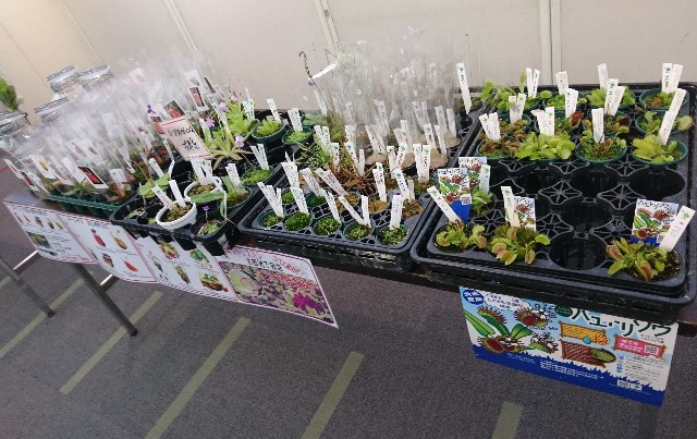 f:id:Takuchaman:20190804152405j:image